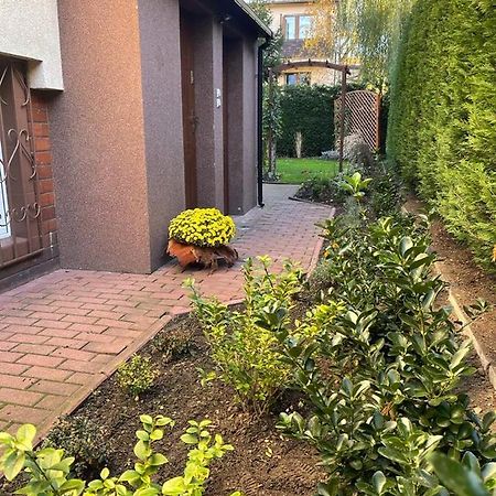 Maly Apartament Z Kuchnia I Lazienka Apartment Szczecin Luaran gambar